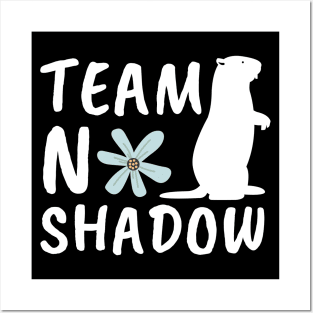 Team No Shadow Funny Groundhog Day Posters and Art